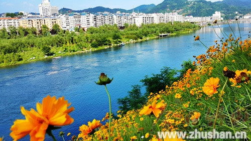 堵河岸边生态慢慢变美