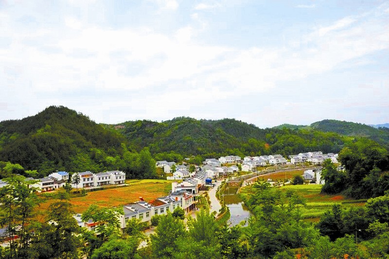 湖北公示2019年度美丽乡村建设试点村 竹山5个村在列