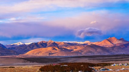 “三张网”助力西藏幸福家园建设
