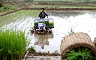 種植結(jié)構(gòu)調(diào)優(yōu) 生產(chǎn)方式調(diào)綠 全國春耕開局良好