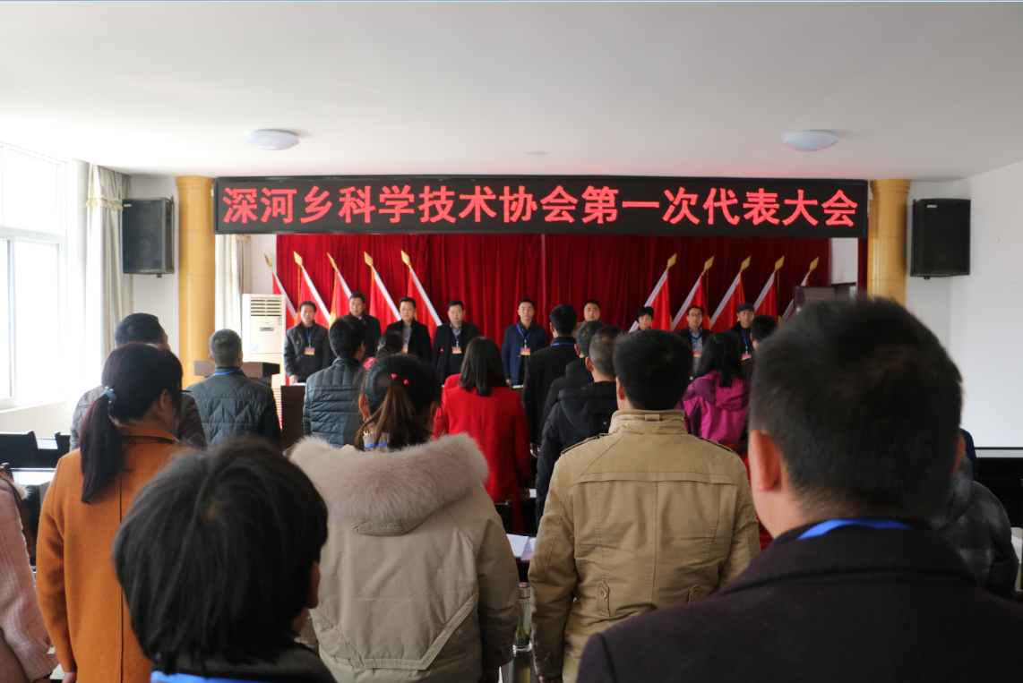 深河乡：走科技兴乡之路  促农村经济发展