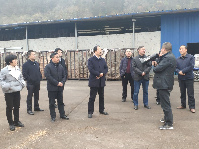 全县食用菌产业发展现场会召开