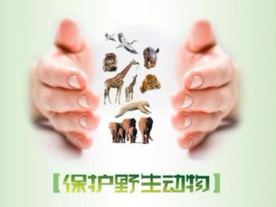 全國(guó)人大通過(guò)的這個(gè)重要《決定》全文來(lái)了！