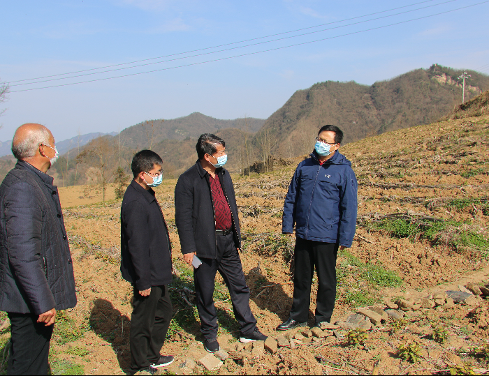 陳建平：持續(xù)抓好疫情防控 有序開展春耕生產(chǎn)