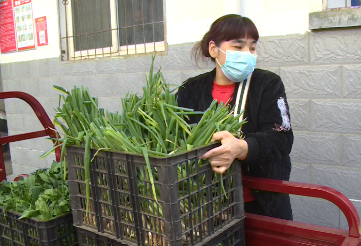 爱心蔬菜暖民心