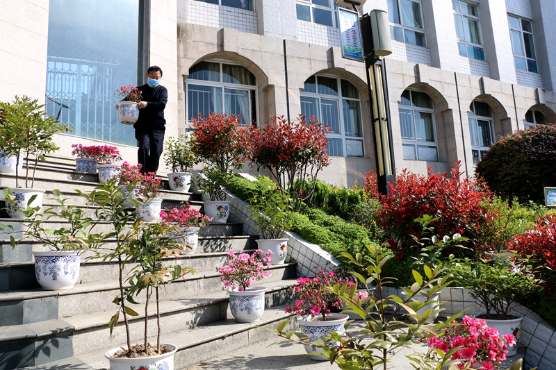 校園變花園，茂華中學開啟賞花模式