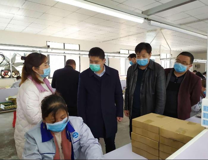 马兰起调研疫情防控精准脱贫复工复产等工作