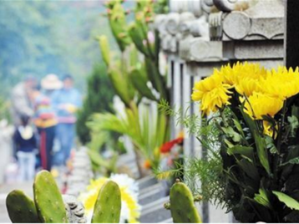 竹山县“文明祭扫·同心抗疫”倡议书