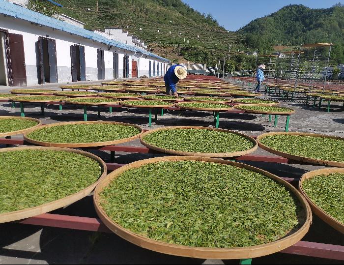 县领导调研台资企业复工复产
