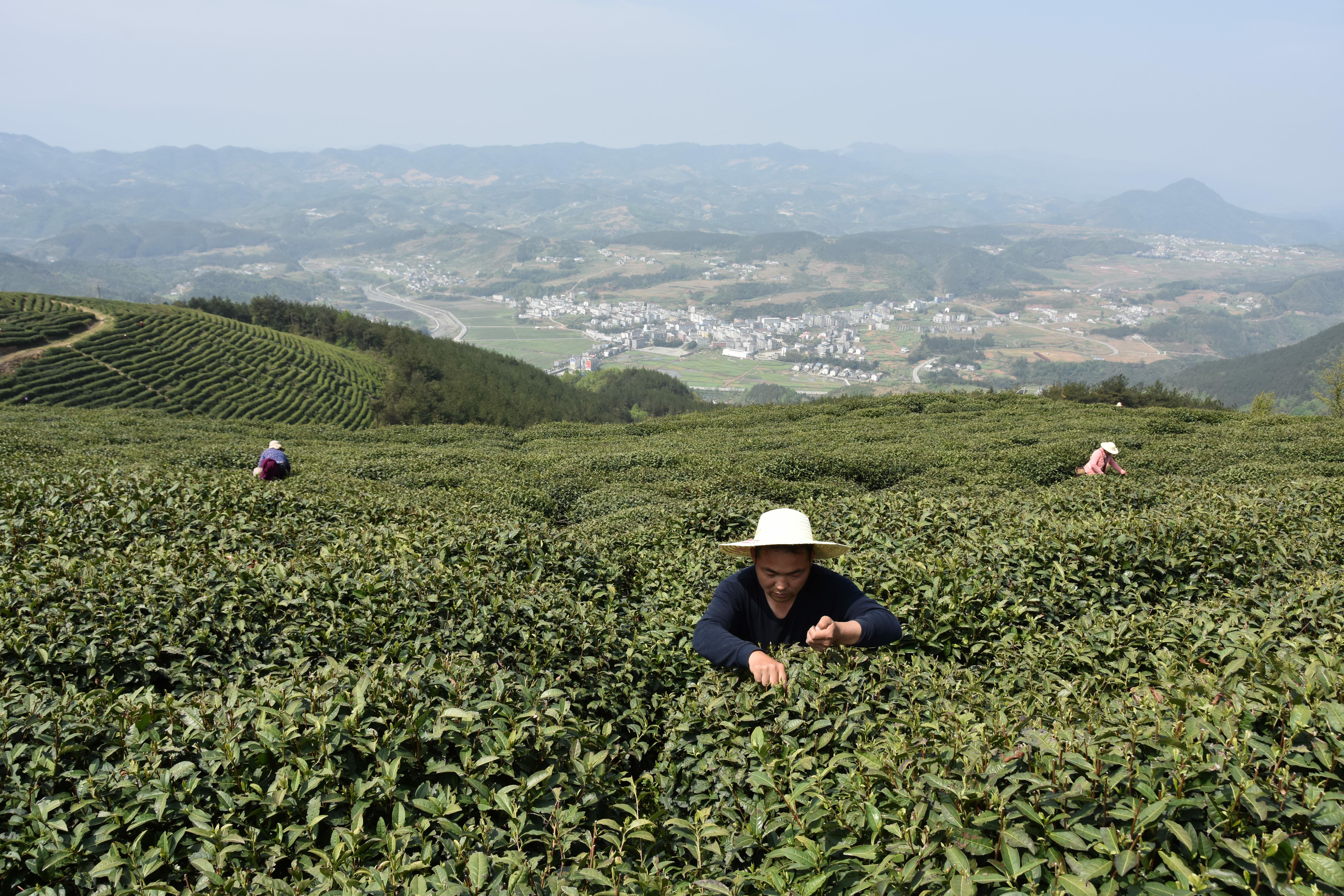 我縣部門聯合助力企業(yè)復工復產 