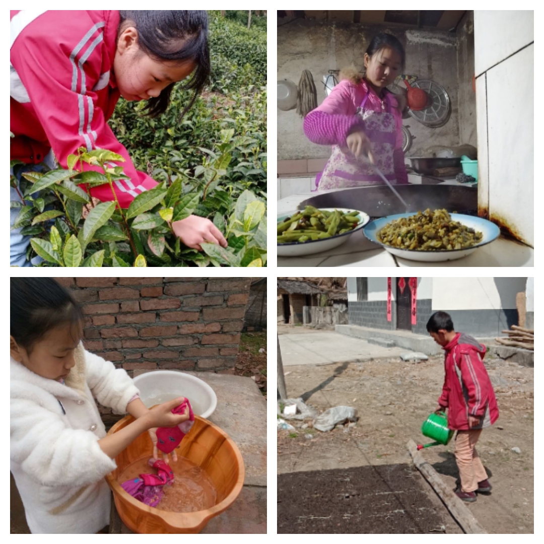 廟埡小學(xué)：居家學(xué)習(xí)與勞動(dòng)教育相結(jié)合