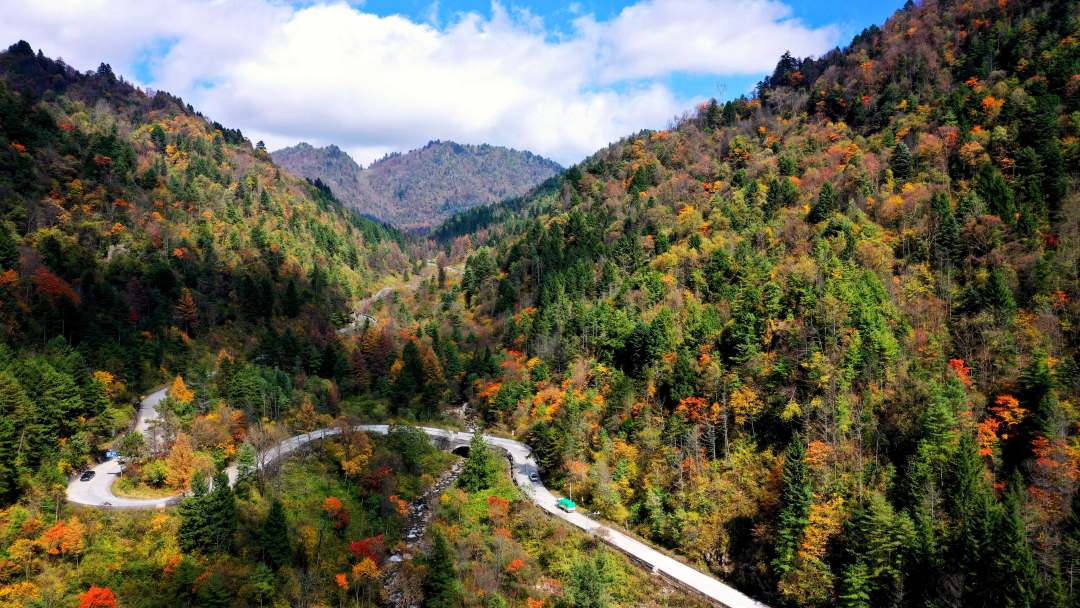 鑒往知來，跟著總書記學歷史丨 “一座秦嶺山，半部中國史”