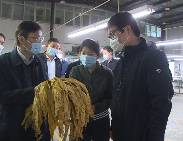 副市长王国恩来我县调研
