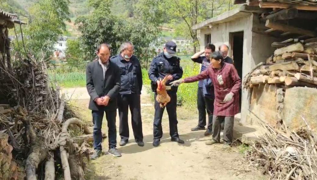 “惯偷”跨地偷鸡  民警走访多日终破案