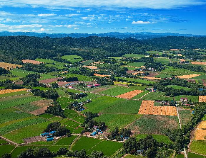 人民日报：坚定不移走生态优先绿色发展之路