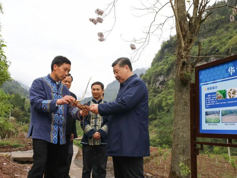 第一观察｜从“吃得饱”到“吃得好”——总书记眼中的“小康菜谱”