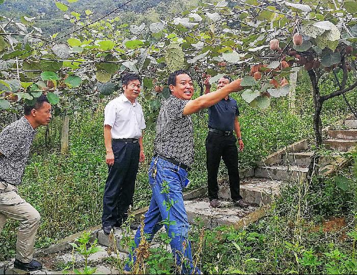 张吉平：扶贫路上践初心