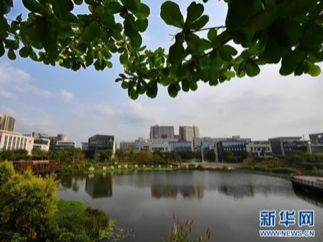 海南建设自由贸易港，习近平明确下一步航向