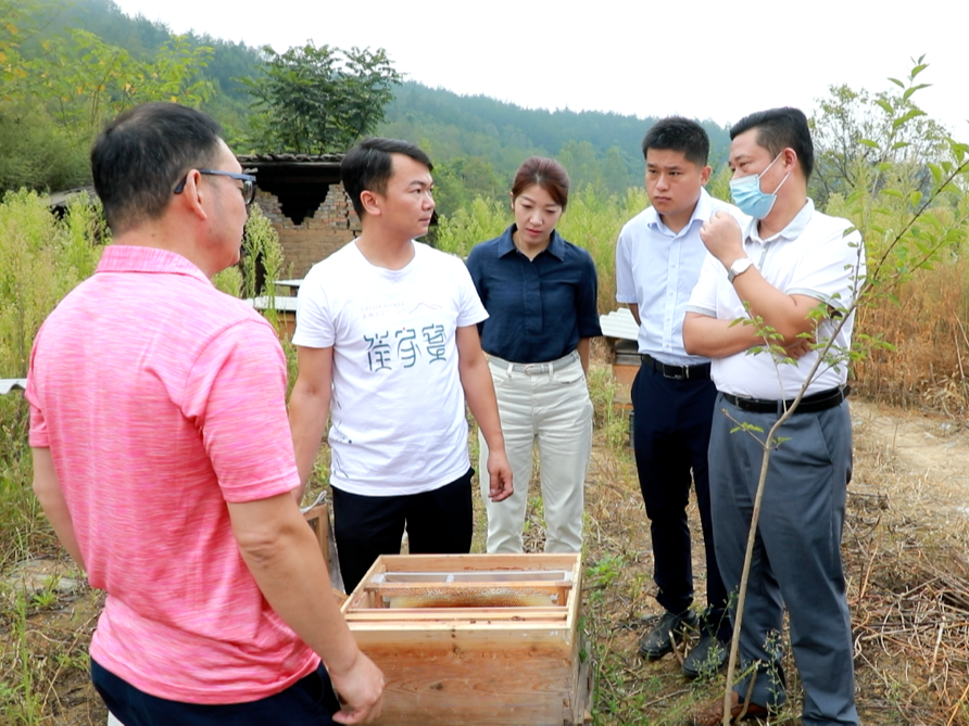 “竹山蜂蜜”申報農(nóng)產(chǎn)品地理標志