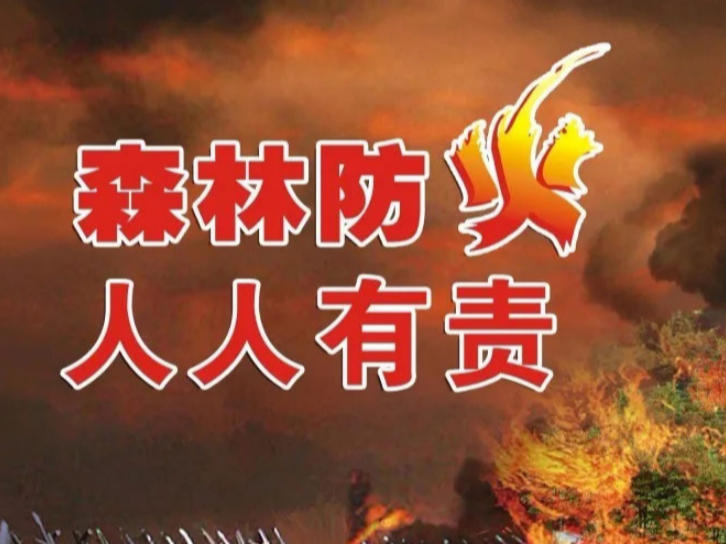 我县收看全国秋冬季森林草原防灭火工作电视电话会