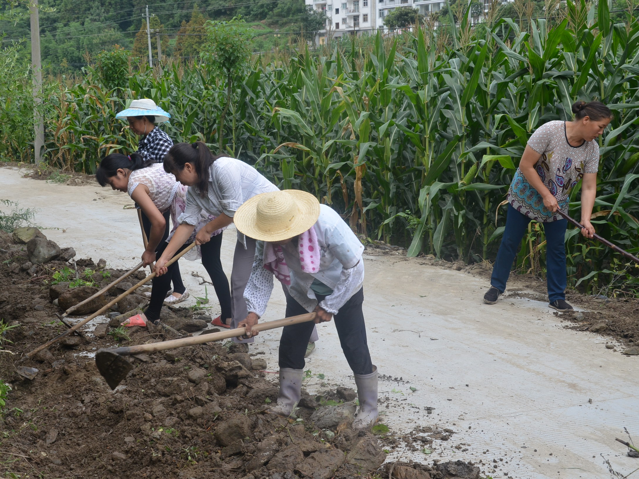 雙臺鄉(xiāng)：用“活”公益性崗位 助力脫貧攻堅