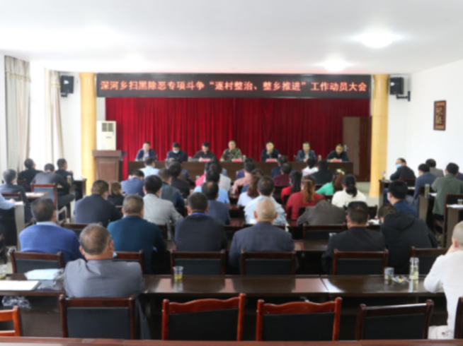 县领导指导深河乡扫黑除恶暨党风廉政建设