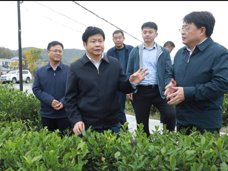 市长陈新武调研我县脱贫攻坚和基层党建工作