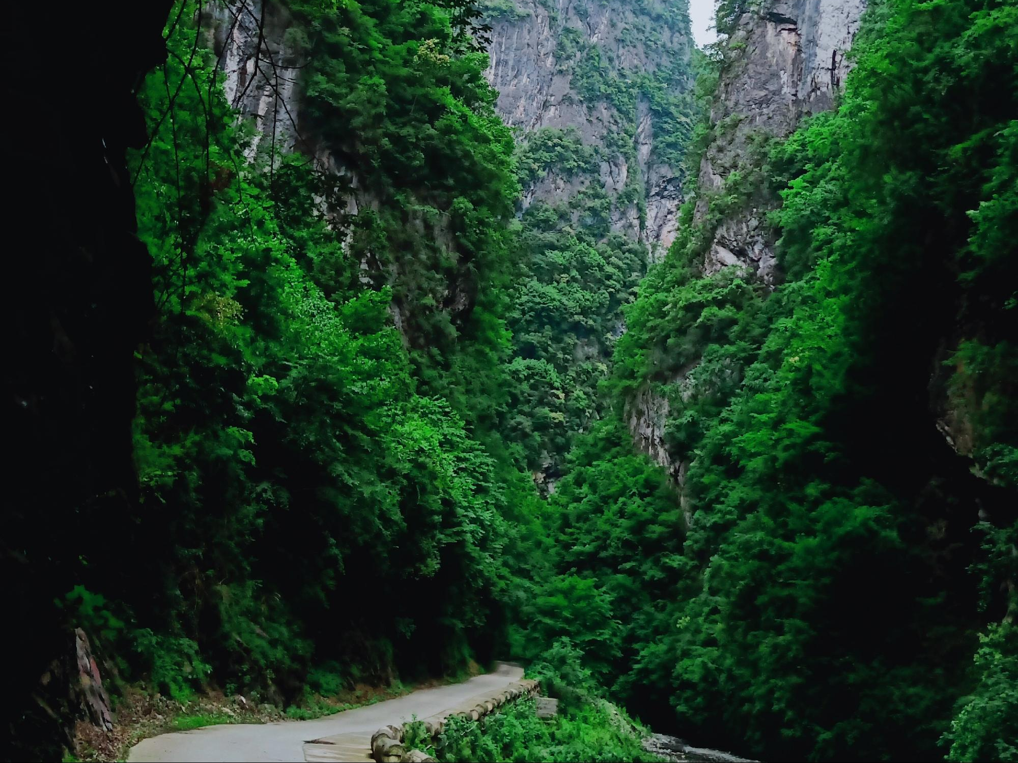 陈建平到南部乡镇调研脱贫攻坚等工作