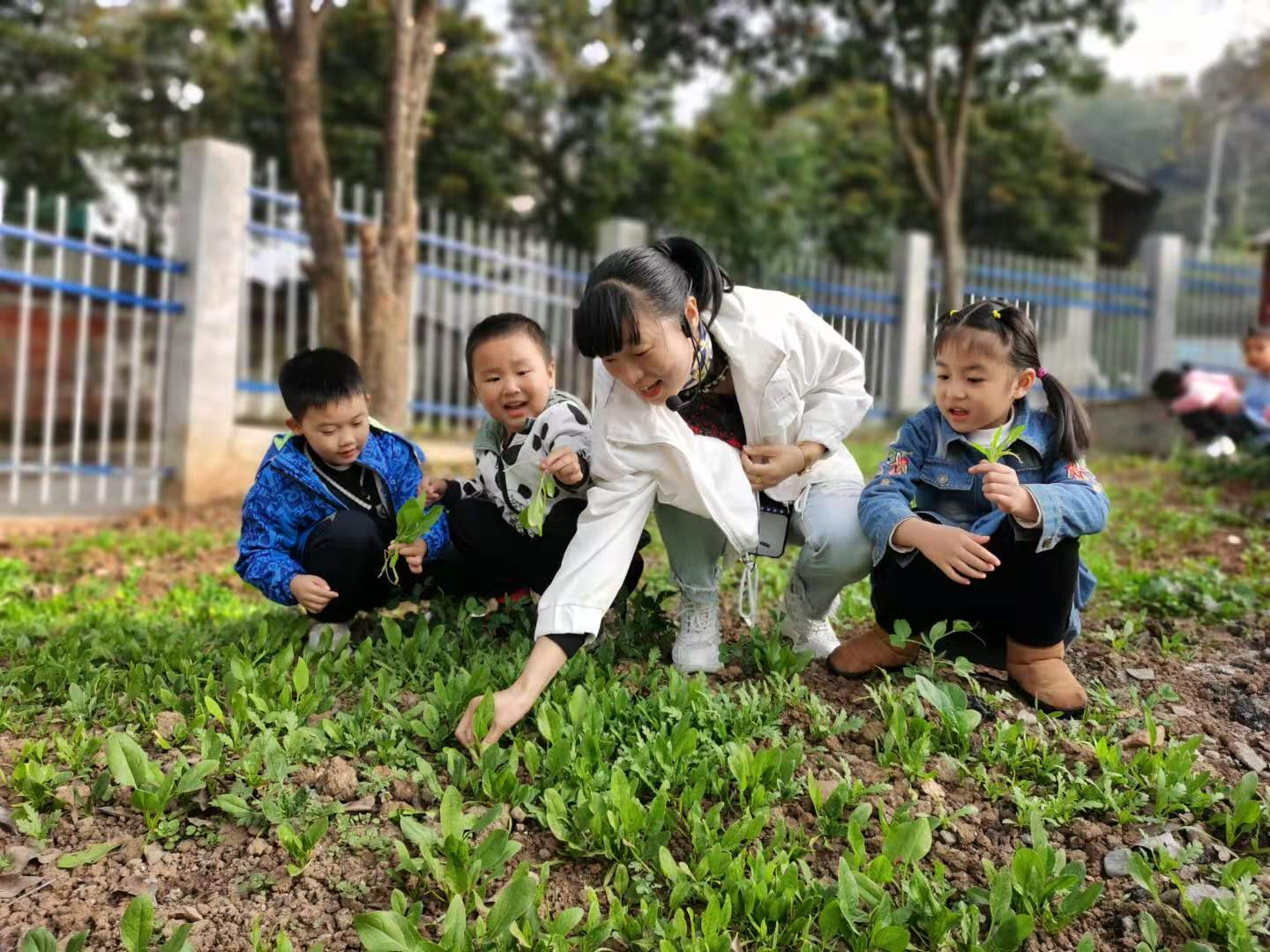 城關(guān)鎮(zhèn)藝星幼兒園讓孩子們在勞動中感知快樂