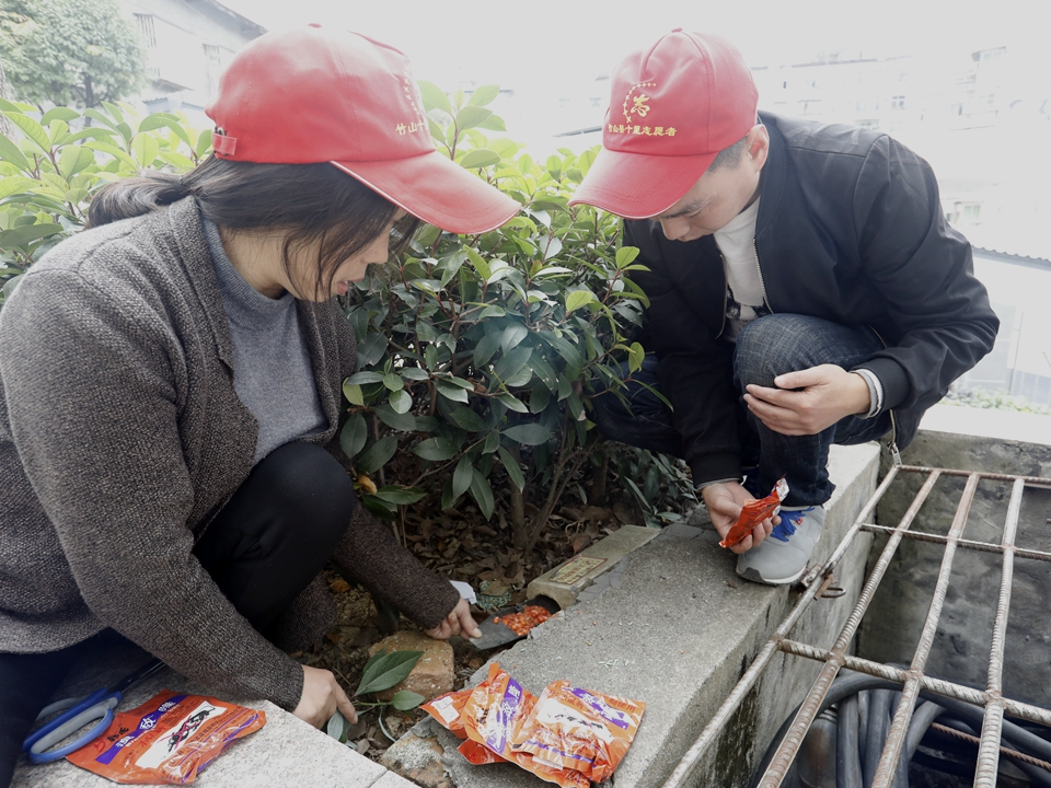 縣林業(yè)局組織志愿者開(kāi)展秋季滅鼠活動(dòng)