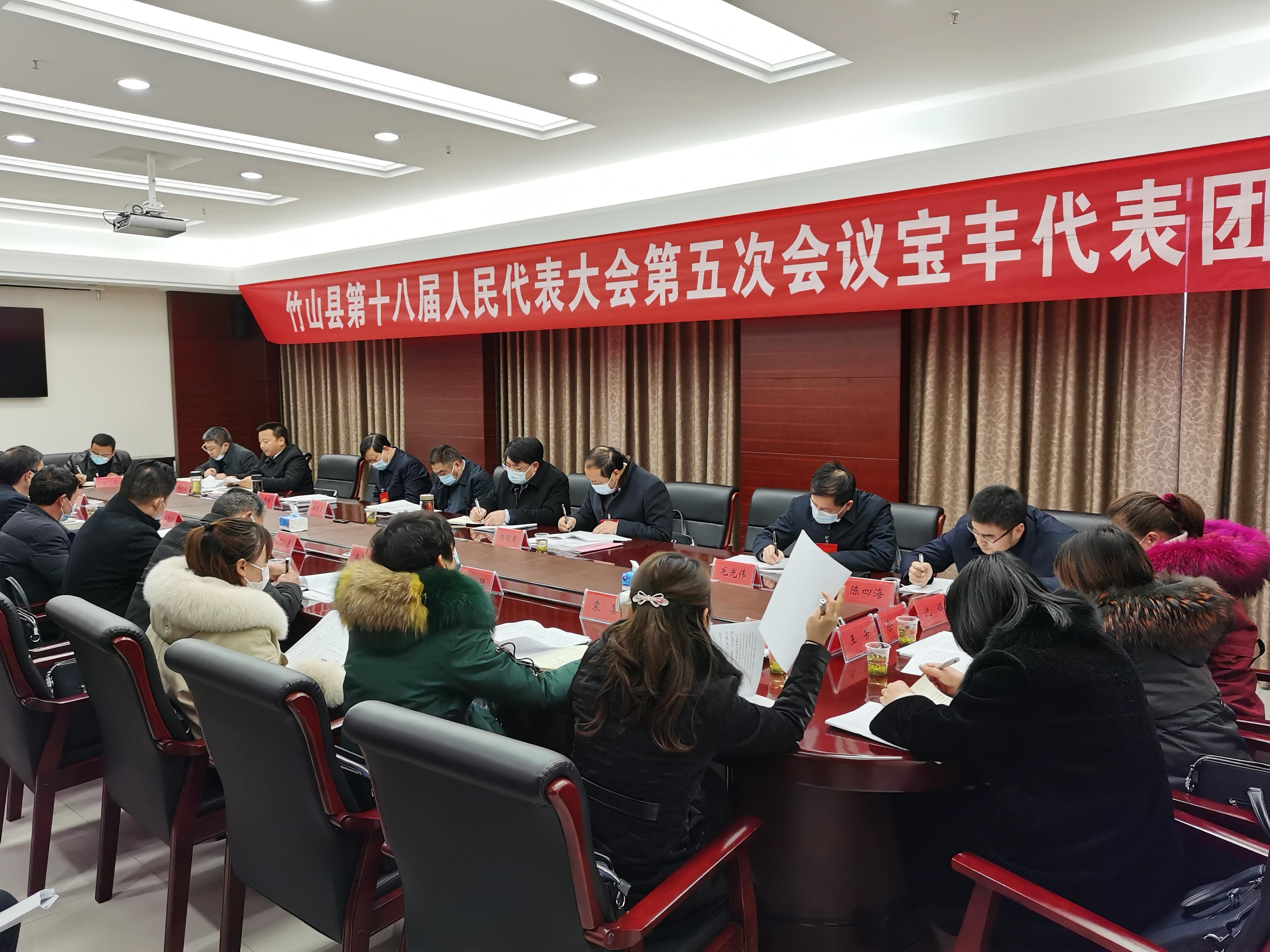 龚举海参加宝丰代表团讨论