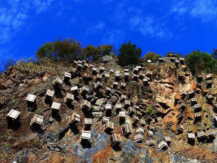 “竹山蜂蜜”通过农产品地理标志登记专家评审