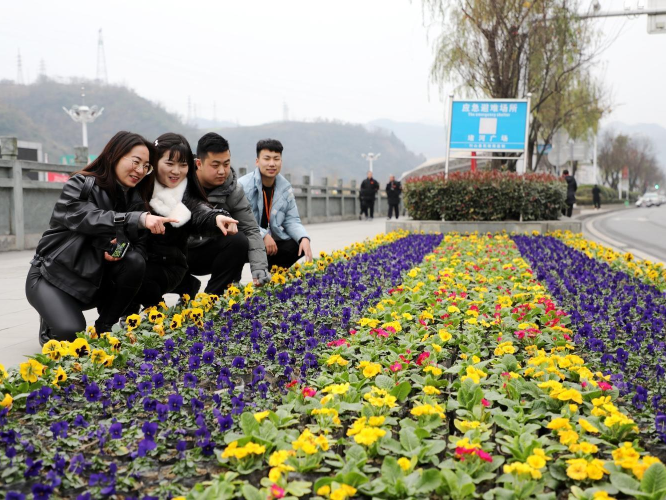9万株鲜花喜迎2021年元旦