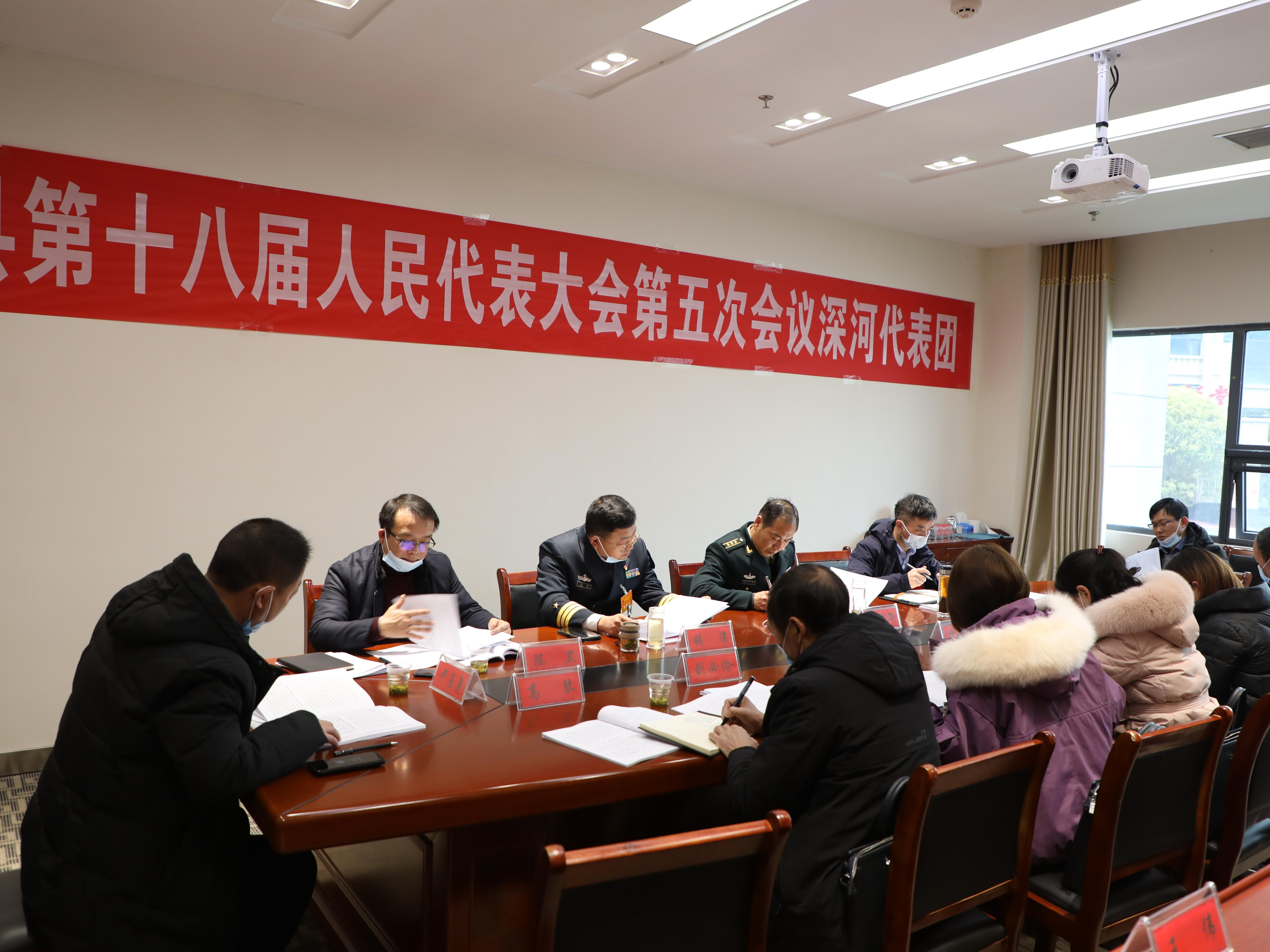 王少华参加深河代表团讨论