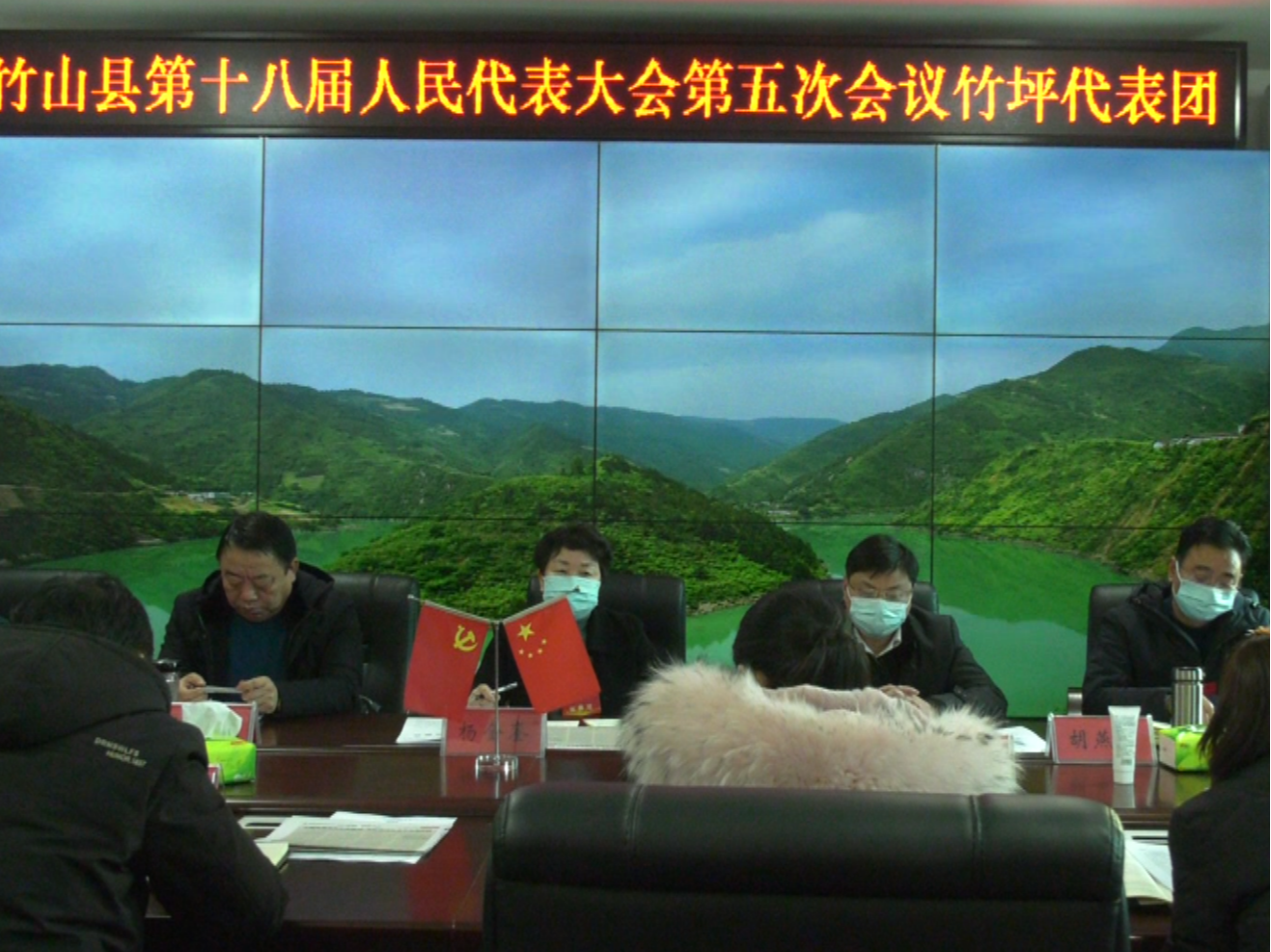 ​杨金銮参加竹坪代表团讨论