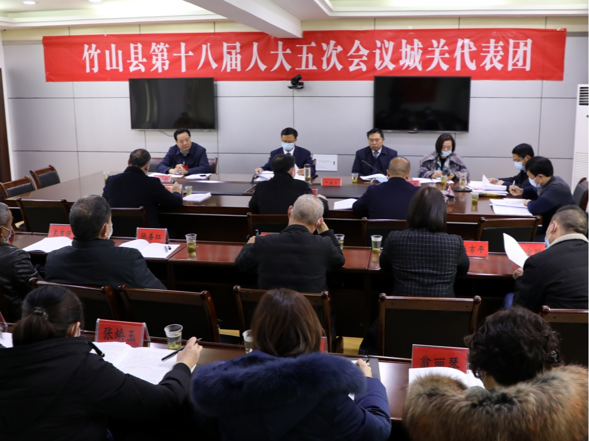 陈建平参加城关代表团讨论