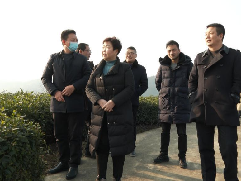 湖北萧氏集团董事长肖勇来竹考察