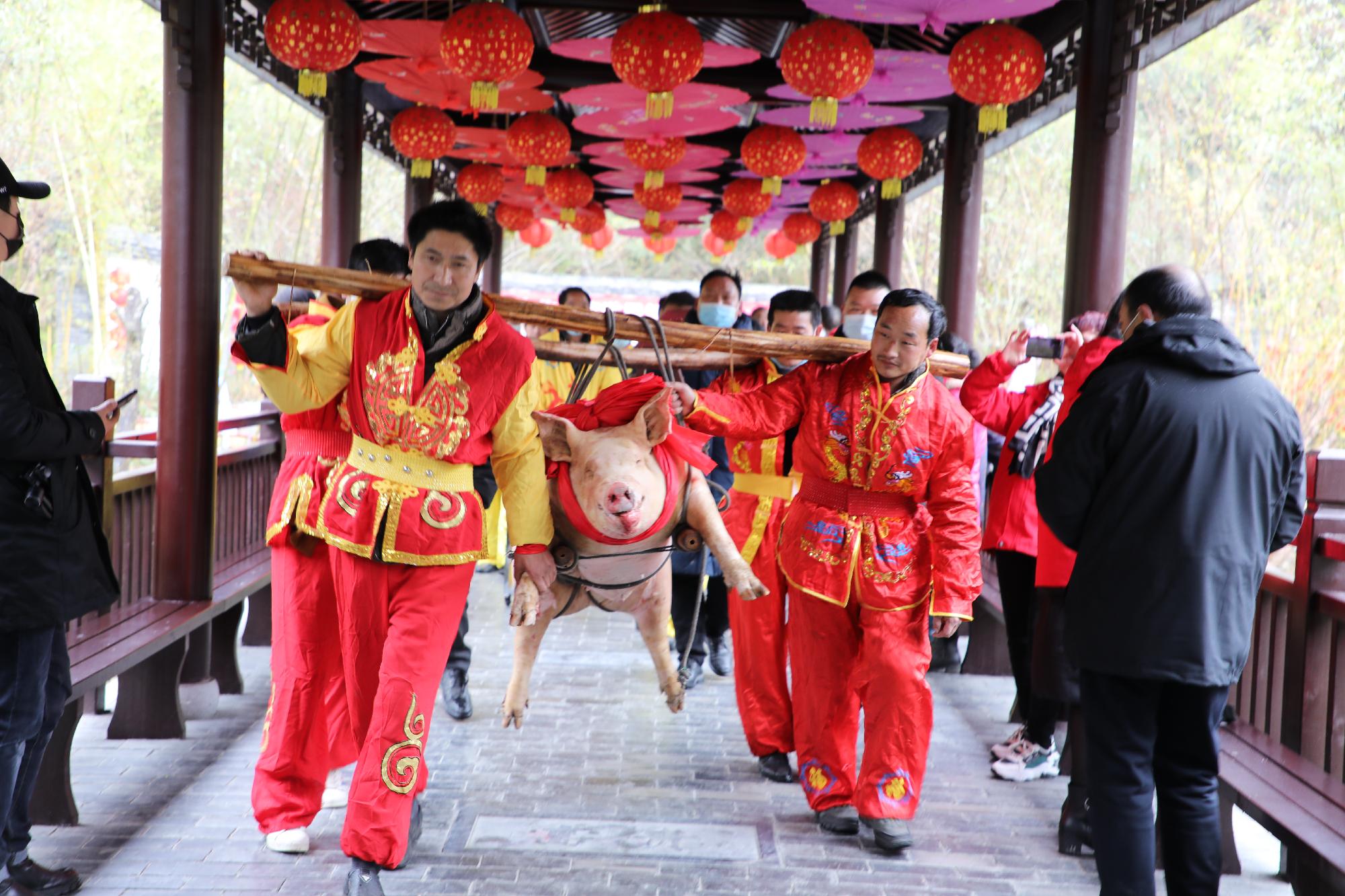 第四届秦巴腊梅文化旅游节隆重开幕