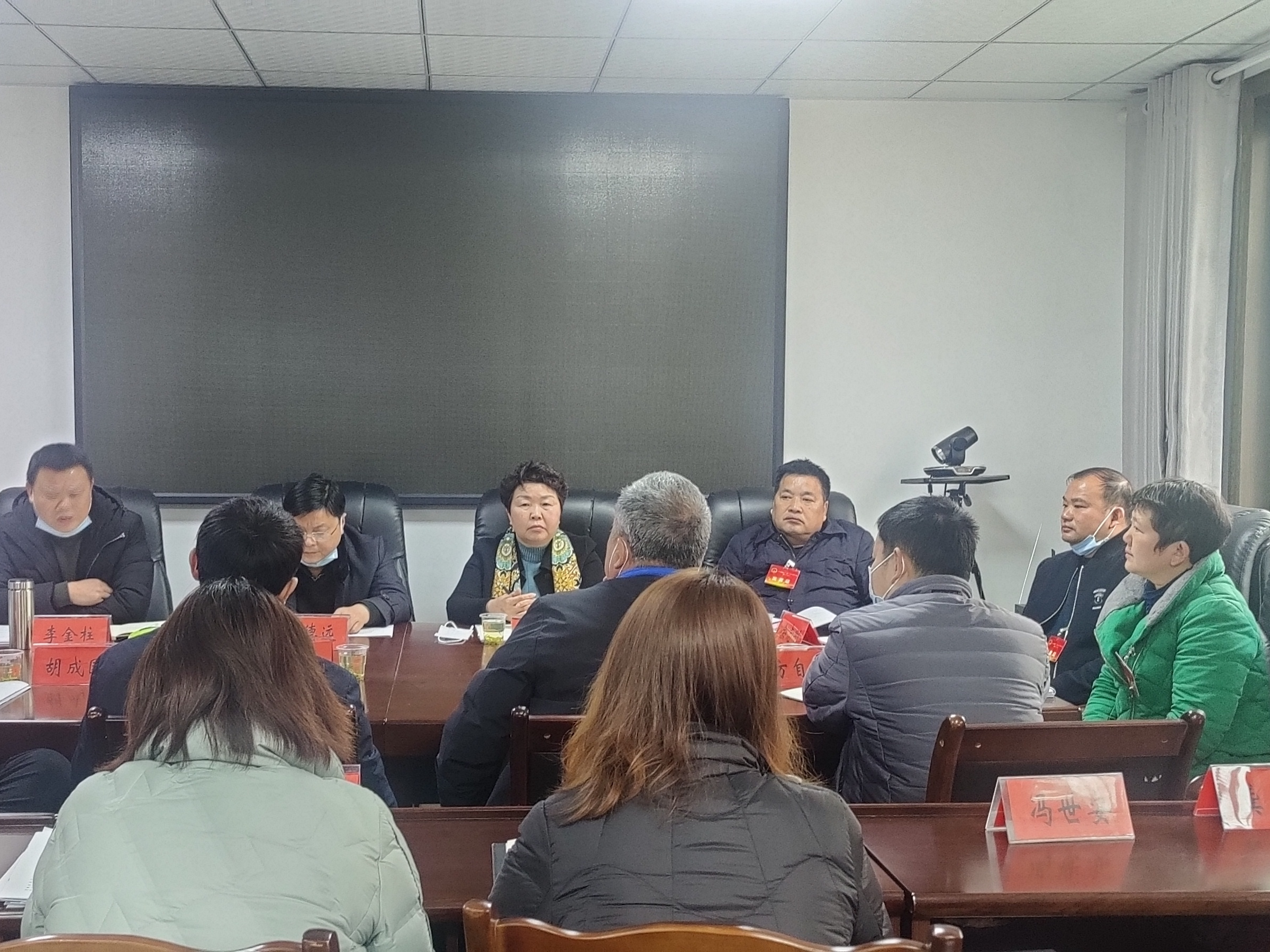 杨金銮参加上庸代表团讨论