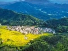 群众的笑脸最美——全面贯彻新发展理念的三明探索与实践