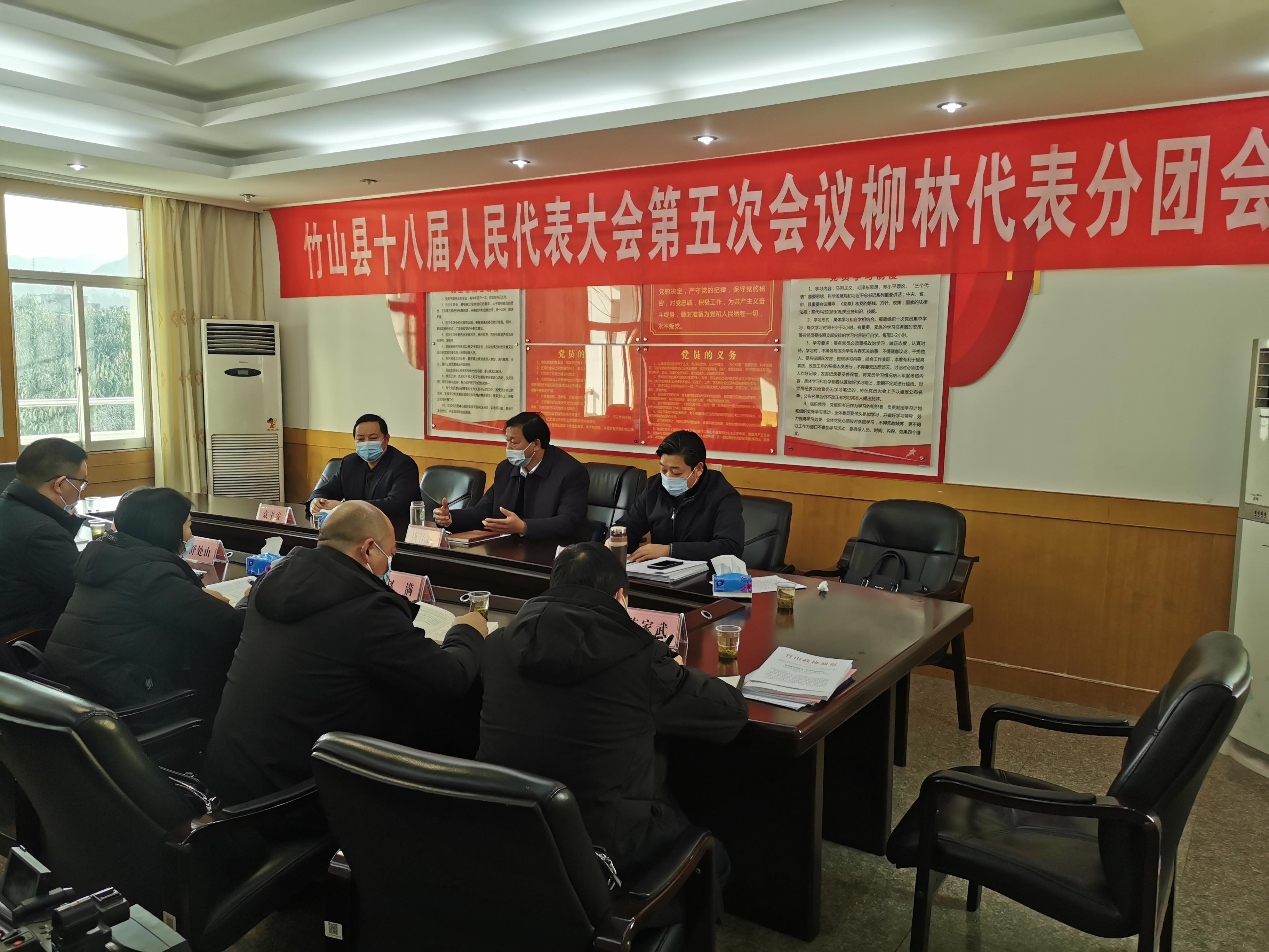 唐泽斌参加柳林乡代表团讨论