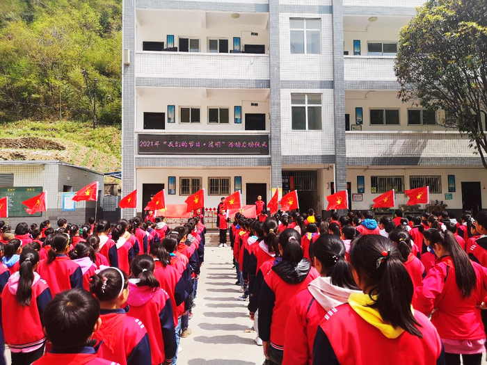 双台乡九年一贯制学校开展网上祭英烈活动