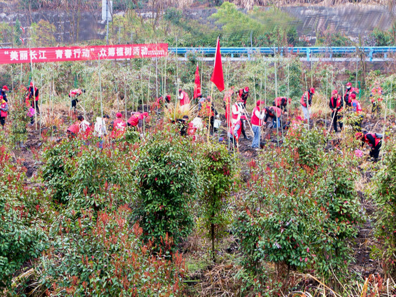 竹山围绕“两山”实践 着力推进国土绿化