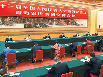 习近平参加青海代表团审议