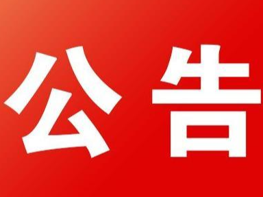 竹山县第十八届人大常委会第二十九次会议任免决定