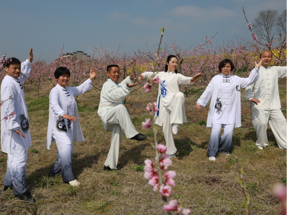 寶豐鎮(zhèn)美麗經(jīng)濟(jì)帶活鄉(xiāng)村