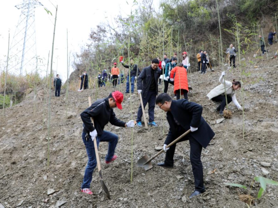 縣住建局義務(wù)植樹 助力園林城市創(chuàng)建