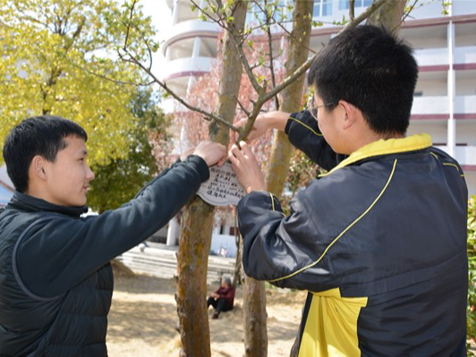 竹山二中植树节开展校园树木认领活动