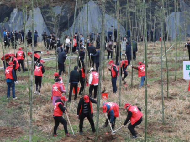 我县开展义务植树暨植绿护绿活动