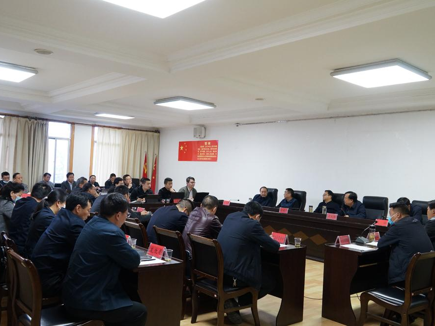 陈建平：高质量编制国土空间总体规划